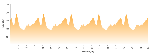 A Grade Stage 4 Elevation